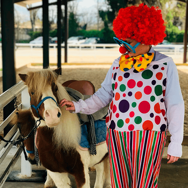 Paseos en pony para niños en Alcalá de Henares económicos