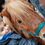 Realizar paseos en pony para niños en Madrid