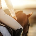 Primera experiencia en la equitación