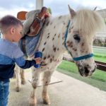 actividades con ponis para niños
