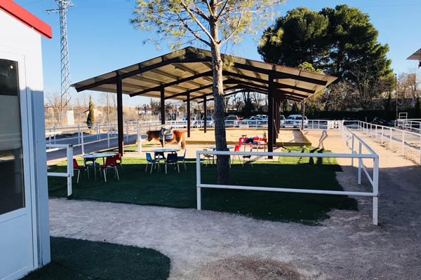 Actividades de nuestros campamentos con caballos en Torrejón de Ardoz Actividades de nuestros campamentos con caballos en Torrejón de Ardoz