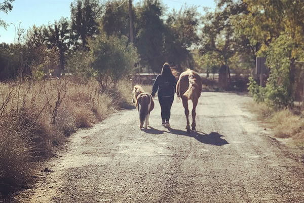 Beneficios de las clases de montar a caballo para niños