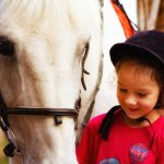 Fiestas de cumpleaños con caballos