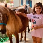 Celebraciones infantiles con ponis y caballos
