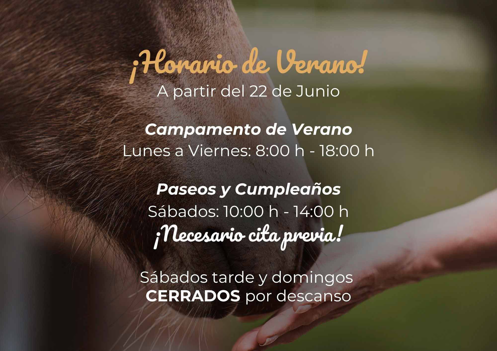 HORARIO DE VERANO 2026